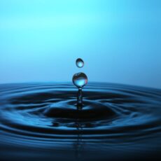 Tao Wasser